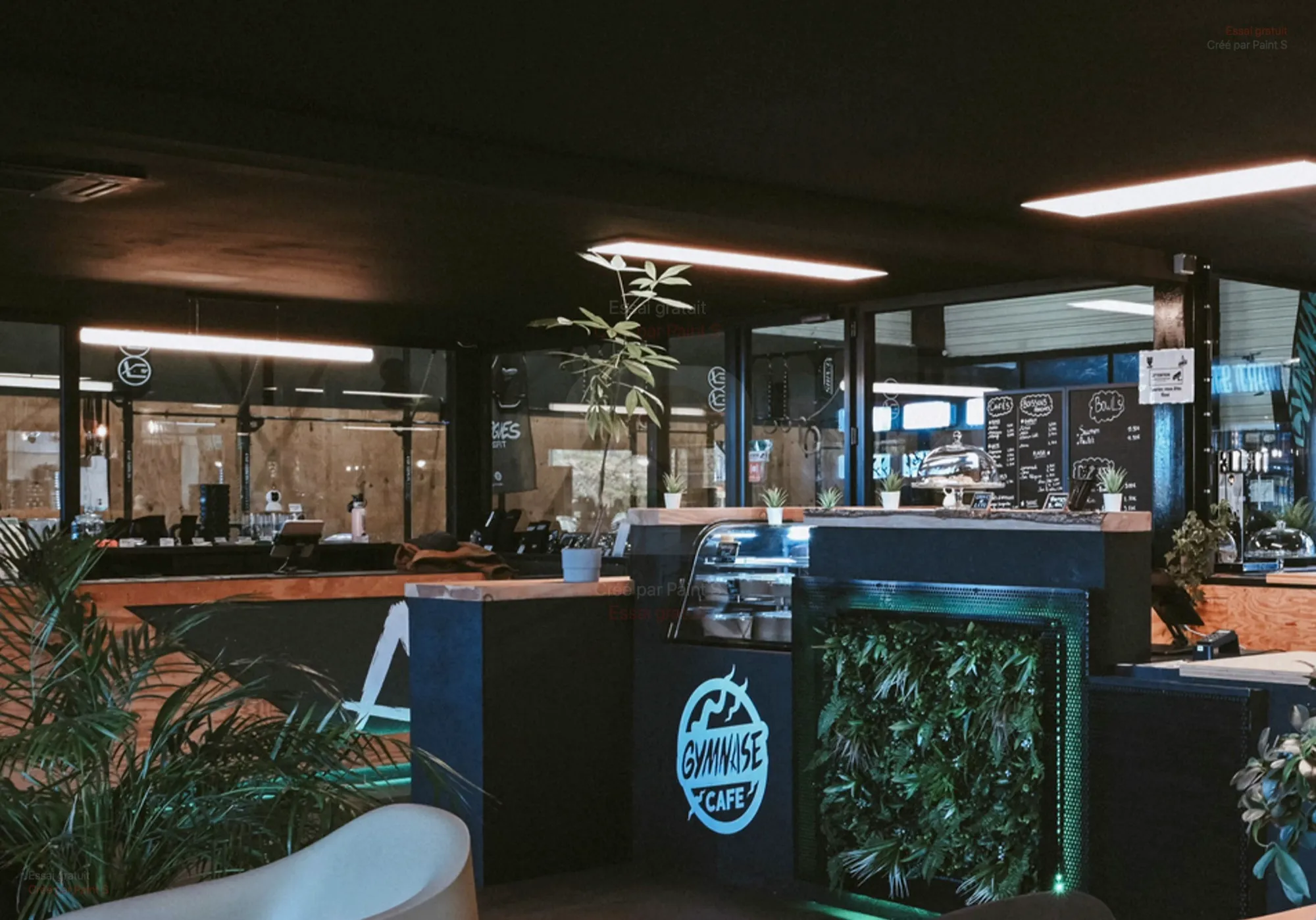 L'espace café cosy de TheGymnase : comptoir, plantes et enseigne Gymnase Café